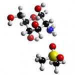 Manfaat Methyl Sufonyl Methane pada Tubuh